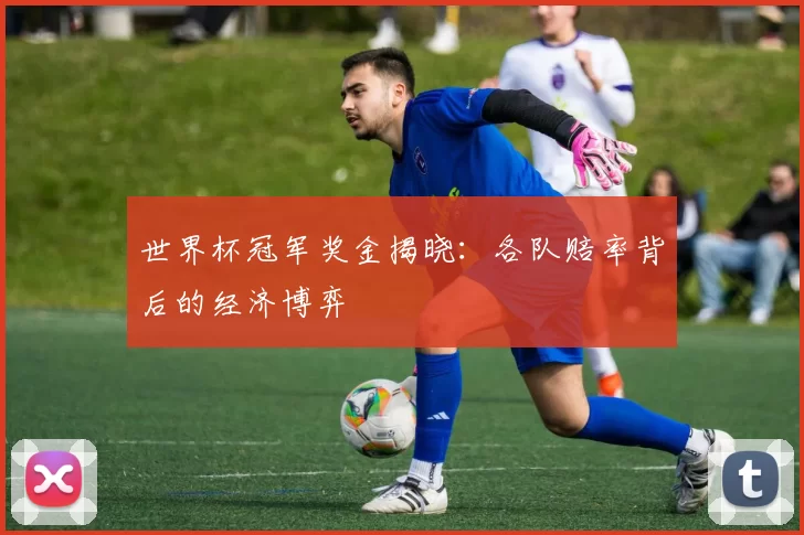 世界杯冠军奖金揭晓：各队赔率背后的经济博弈
