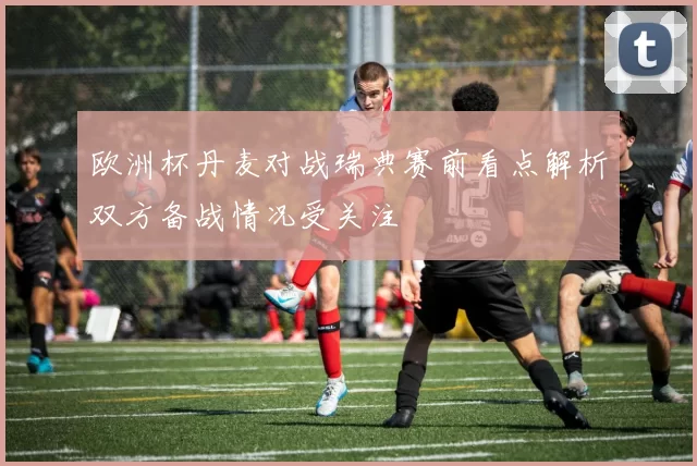 欧洲杯丹麦对战瑞典赛前看点解析双方备战情况受关注