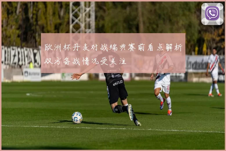 欧洲杯丹麦对战瑞典赛前看点解析双方备战情况受关注