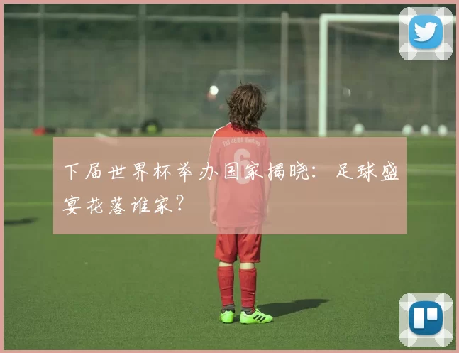 下届世界杯举办国家揭晓：足球盛宴花落谁家？