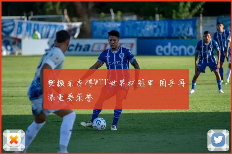 樊振东夺得WTT世界杯冠军 国乒再添重要荣誉