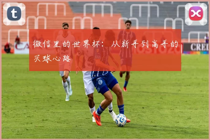 微信里的世界杯:从新手到高手的买球心路