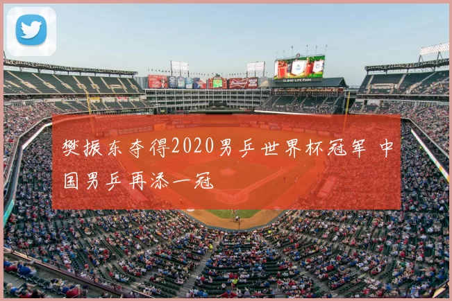 樊振东夺得2020男乒世界杯冠军 中国男乒再添一冠