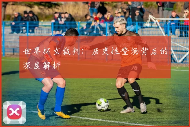 世界杯女裁判：历史性登场背后的深度解析