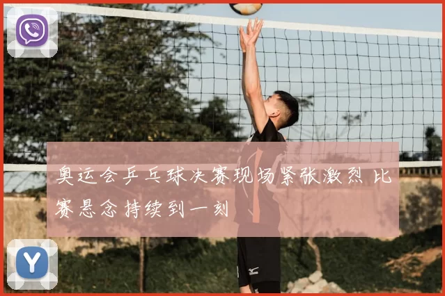 奥运会乒乓球决赛现场紧张激烈 比赛悬念持续到一刻