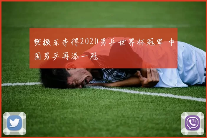 樊振东夺得2020男乒世界杯冠军 中国男乒再添一冠