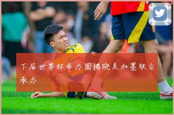 下届世界杯举办国揭晓美加墨联合承办