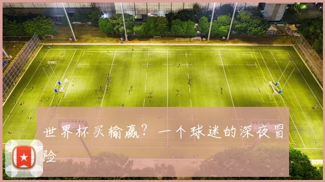 世界杯买输赢？一个球迷的深夜冒险