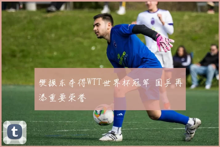 樊振东夺得WTT世界杯冠军 国乒再添重要荣誉