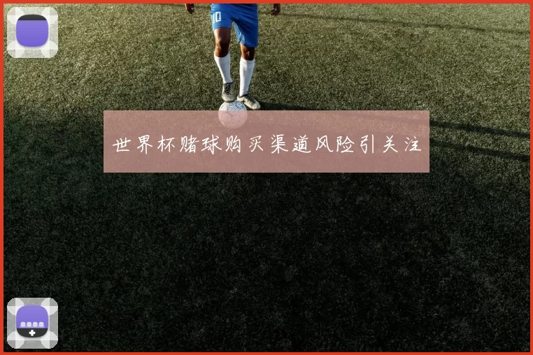 世界杯赌球购买渠道风险引关注